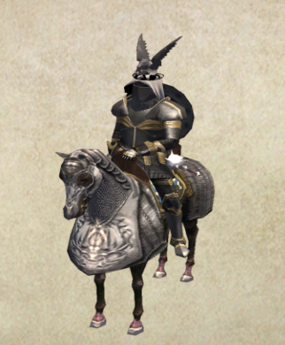 曜霆骑士