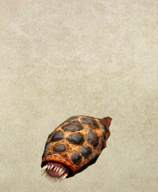 滚浆虫